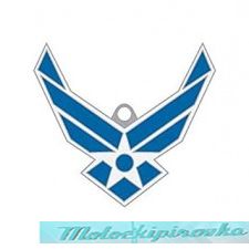 Key Chain USAF Logo