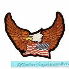 Eagle Spreading Wings with United States Flag below Medium Size Patch